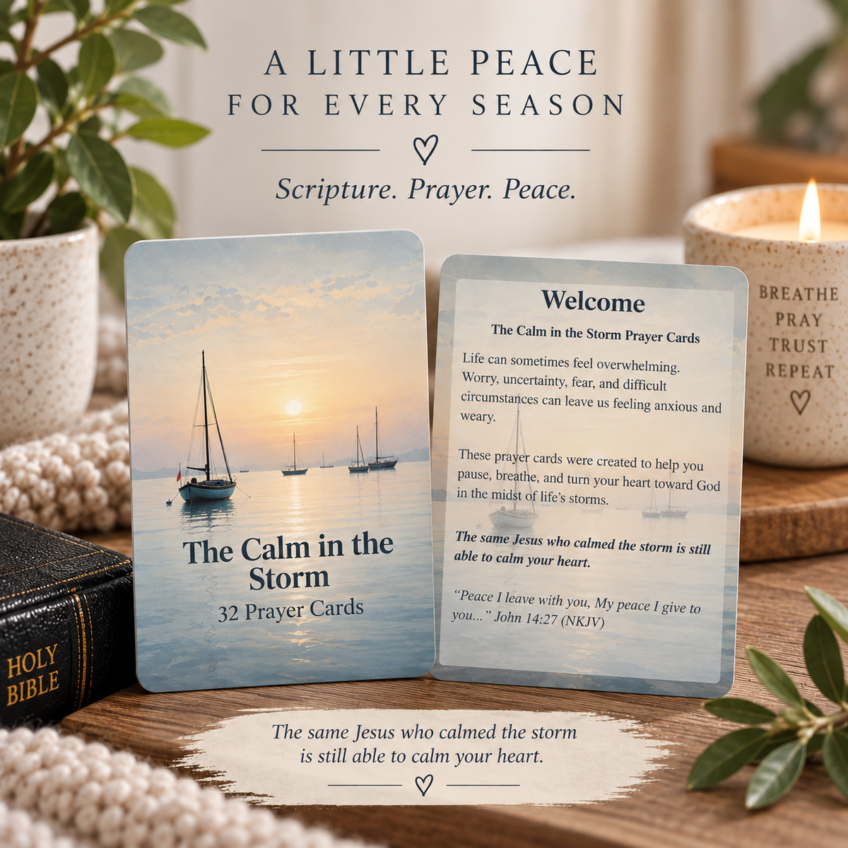 The Calm in the Storm Prayer Cards